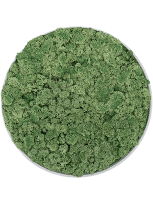 Refined Clouded Grey - 100% Islandmoos "Moosgrün" - Rund